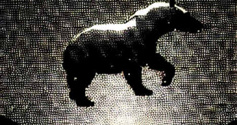 The Ghost in the Federation: What the Liquid Hack Actually Revealed About Bitcoin's Trust Machinery