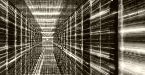 The Empty Ledger: When a Crypto Analysis Returns Nothing