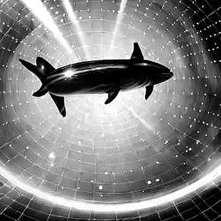 US AI Safety Center's Leadership Black Hole: Why Crypto's AI Agents Might Be the First Casualties