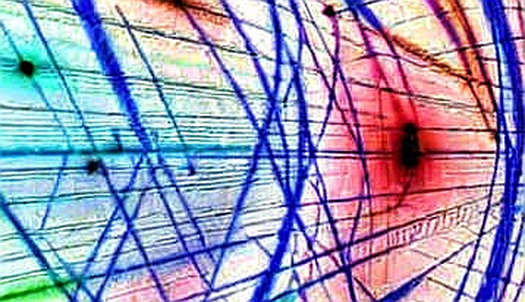 Amazon's MTurk Freeze: The Liquidity Trap That Crypto Can't Solve Yet
