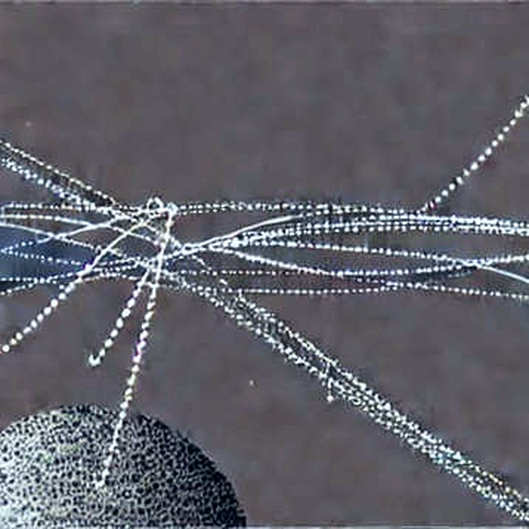 The ASIC Delusion: AWS Trainium 3 Shipment Forecast and the Centralization of Trust