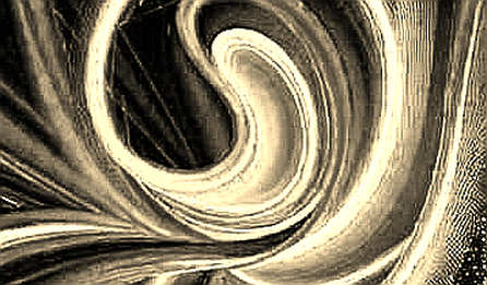 The Market Improvement Mirage: Why XRP, SHIB, DOGE, and HYPE Are Not the Same Signal
