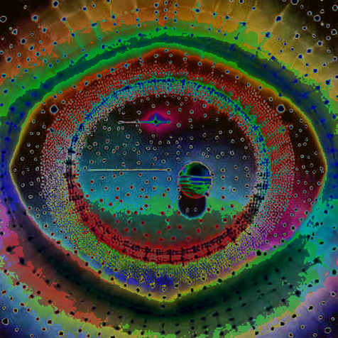 The $915K Ghost: How BLC's Implosion Silences the Algorithmic Stablecoin Myth
