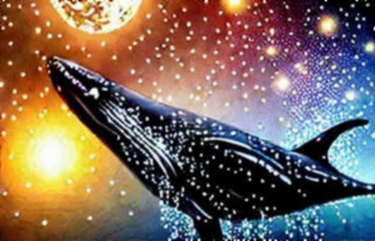 The Lamine Yamal Token Wave: A Macro Watcher's Diagnosis of a Starved Market